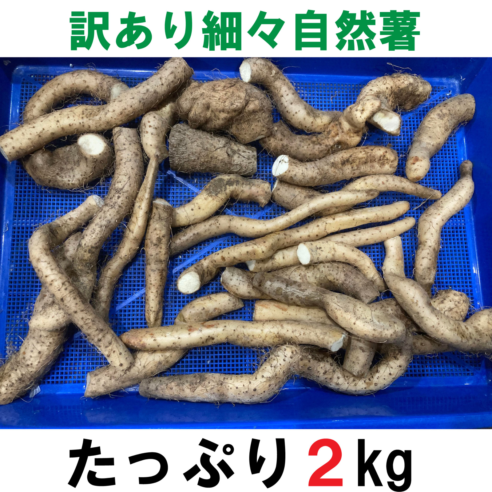 天然自然薯ーー2キロ