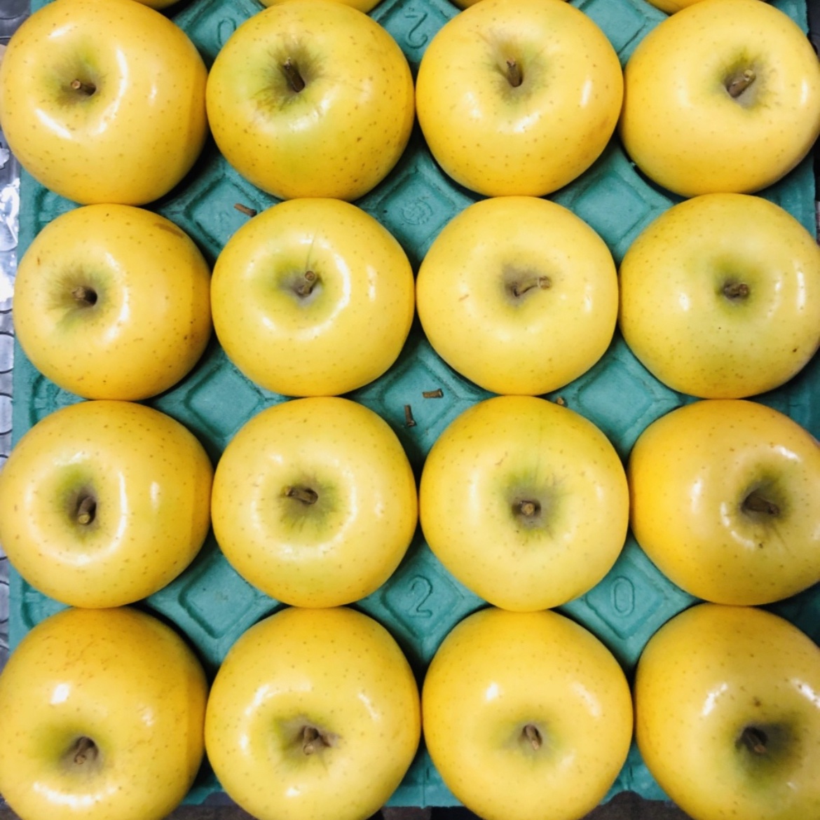 こんなに硬いの？パリパリ食感シナノゴールド上級ご家庭用 | 果物