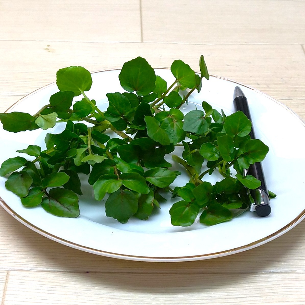 クレソン・自然栽培の天然物 農薬不使用（無農薬） ｜ 野菜/その他野菜