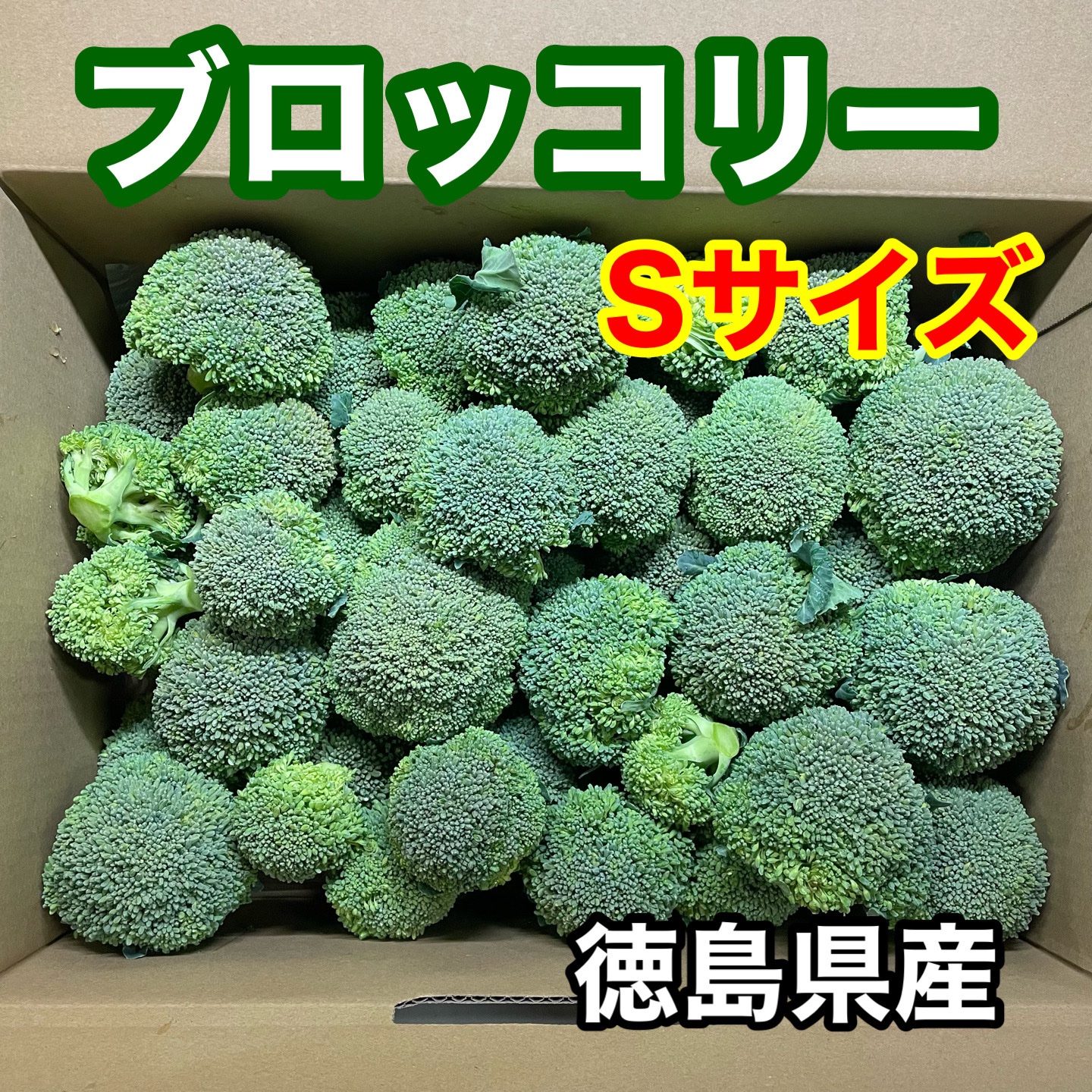徳島県産 ブロッコリー 約3〜4キロ | 野菜/ブロッコリー 産直アウル