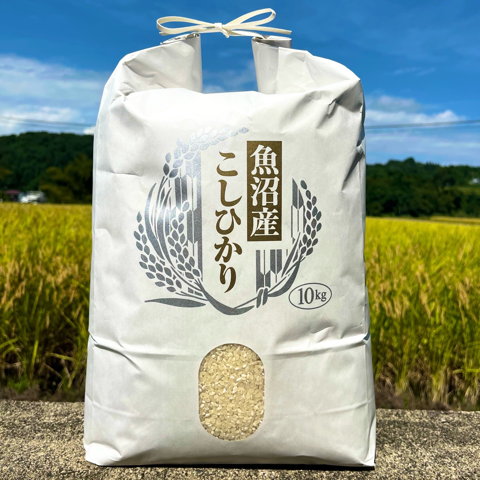 令和7年産 魚沼産コシヒカリ10Kg ｜ 米・穀物/米/精米 産直アウル 農家