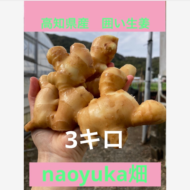 naoyuka畑の囲い生姜3キロ ｜ 野菜/薬味 産直アウル 農家・漁師など