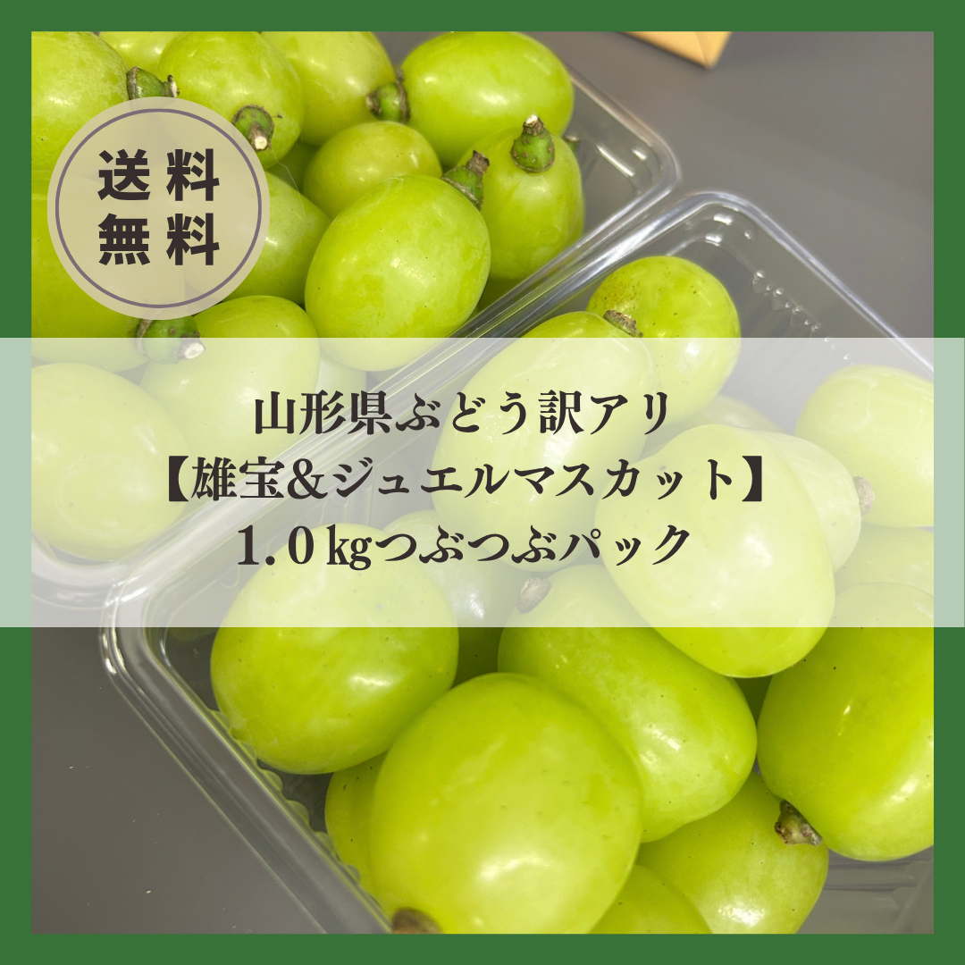 (粒・大容量)訳あり雄宝4kg【長野県産】 訳アリつぶ【雄宝×ジュエルマスカット】次世代シャインマスカット食べ