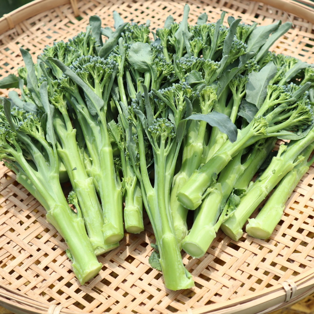 スティックセニョール（野菜＞ブロッコリー）の産地直送商品一覧（通販