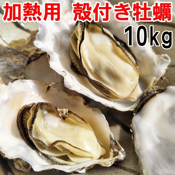 牡蠣10kg‼︎生食可能‼︎