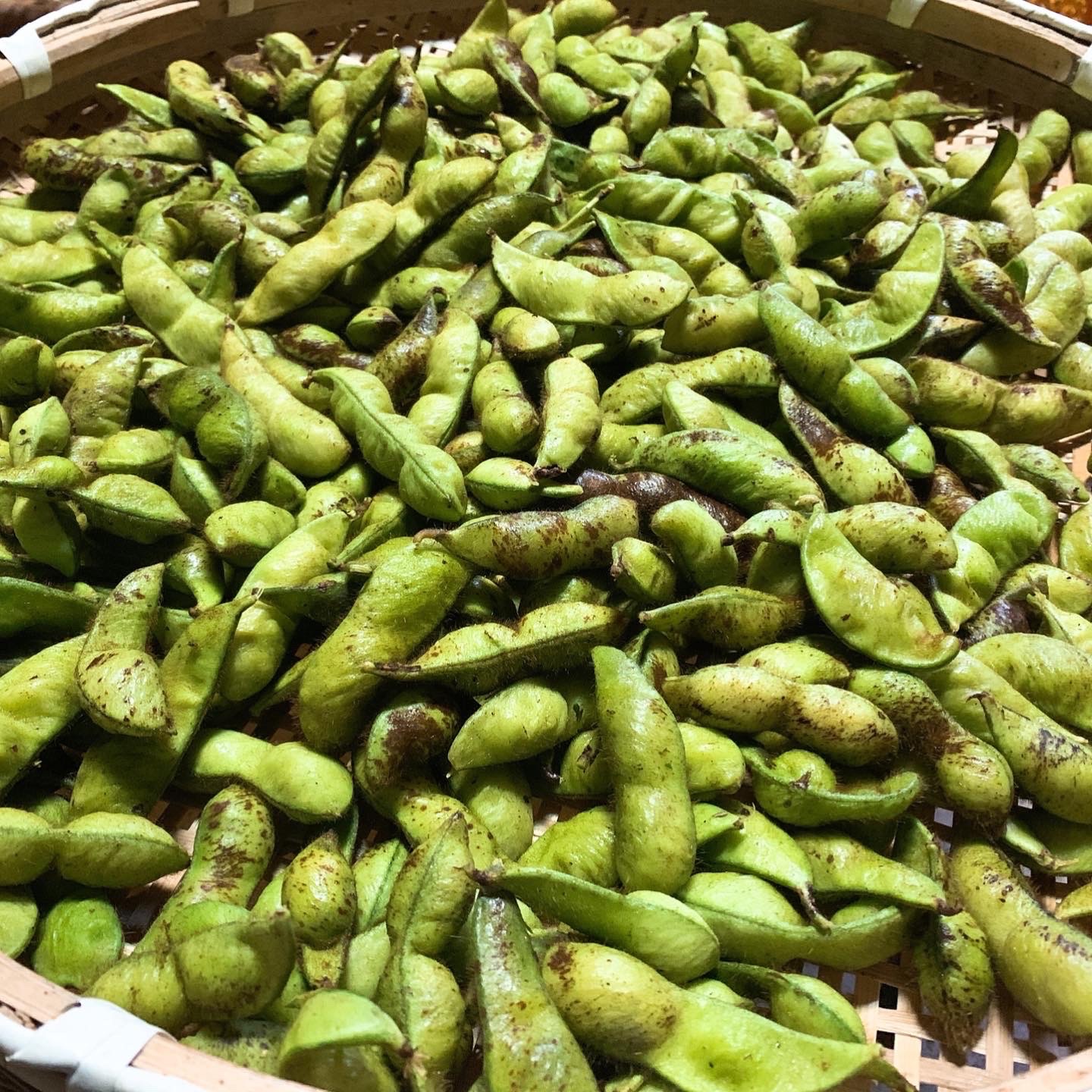 令和2年産京都丹波黒豆枝豆莢取り3kg 50 野菜 豆類 Owl アウル 農家から直接野菜などの食材を購入できる産地直送の宅配通販サイト