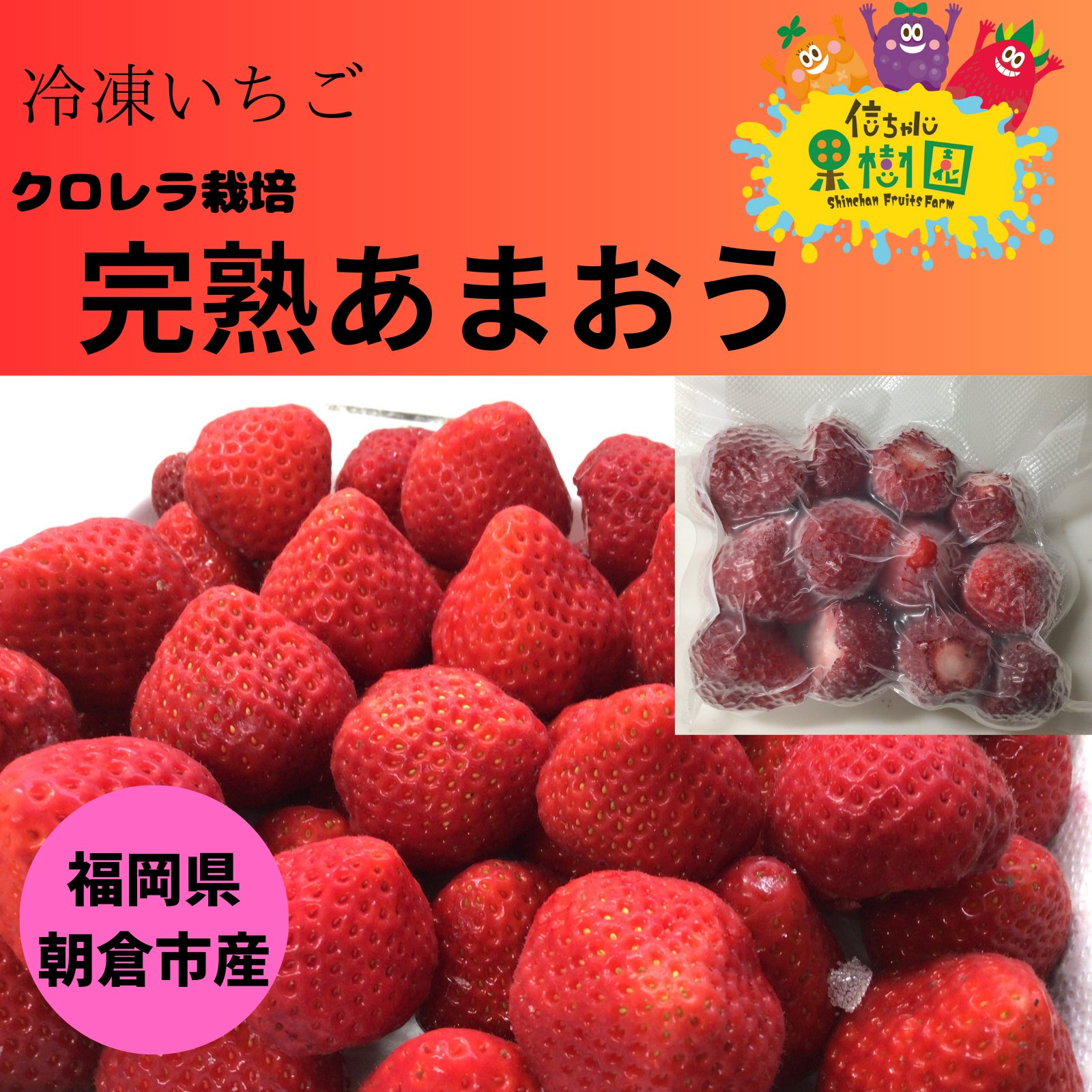 冷凍いちご（粒不揃い） 完熟収穫あまおう 1kg【約250g×4パック】 福岡