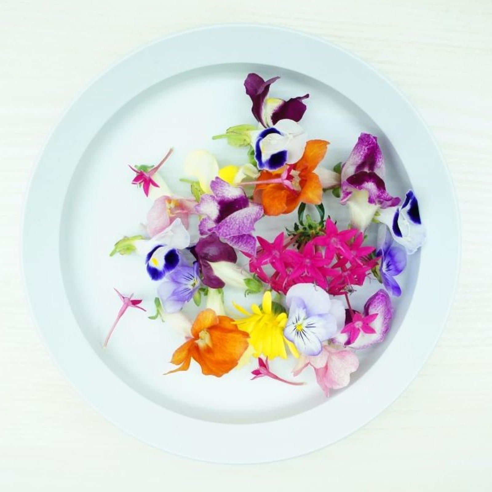 クール便》エディブルフラワー（食用花） MIX10輪 ｜ その他/食用花