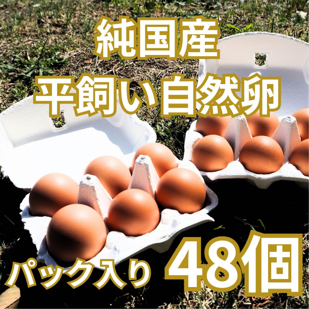 パック入り48個｜3日以内に発送可】とれたて純国産平飼い自然卵（有精