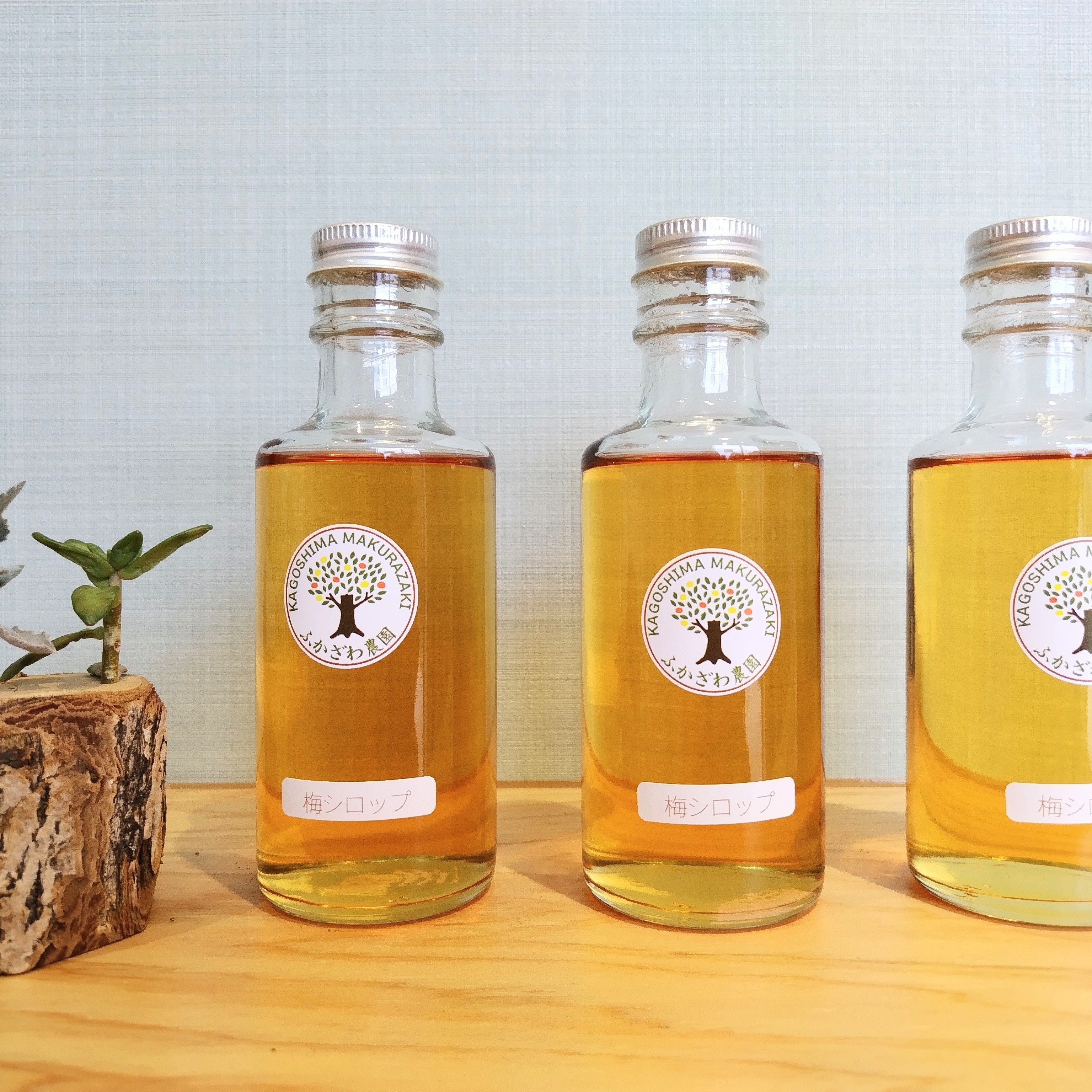 濃厚！梅シロップセット180ml×3本【箱入りギフト】 ｜ 加工品/加工品