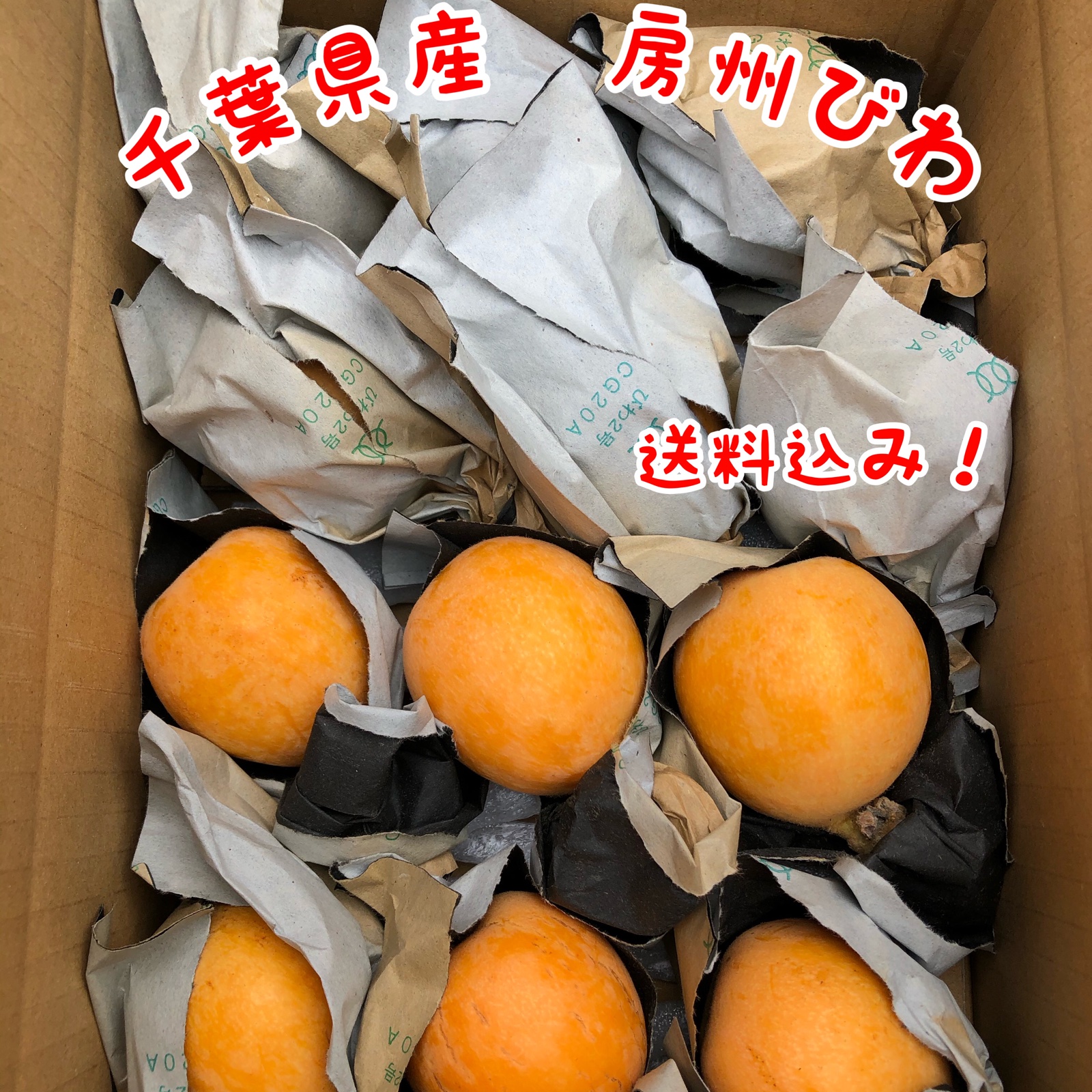 房州びわ 2Lサイズ2キロ箱入り 房州びわ（袋びわ）2Lサイズ 【6月上旬頃より出荷予定