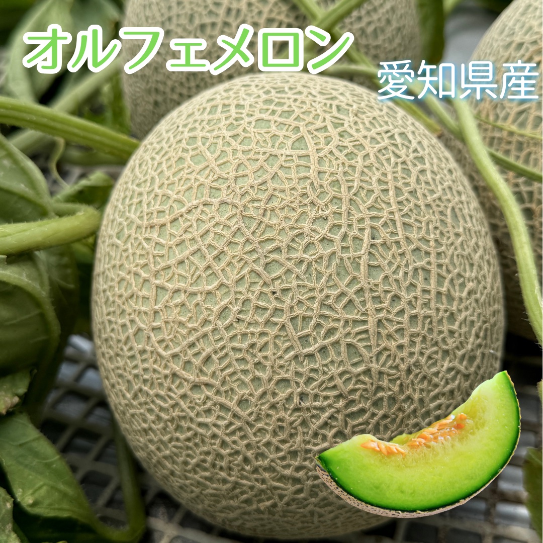 かぶこさんが すずショップ の オルフェメロン【3L】2玉 かぶこさんが すずショップ の オルフェメロン【3L】2玉