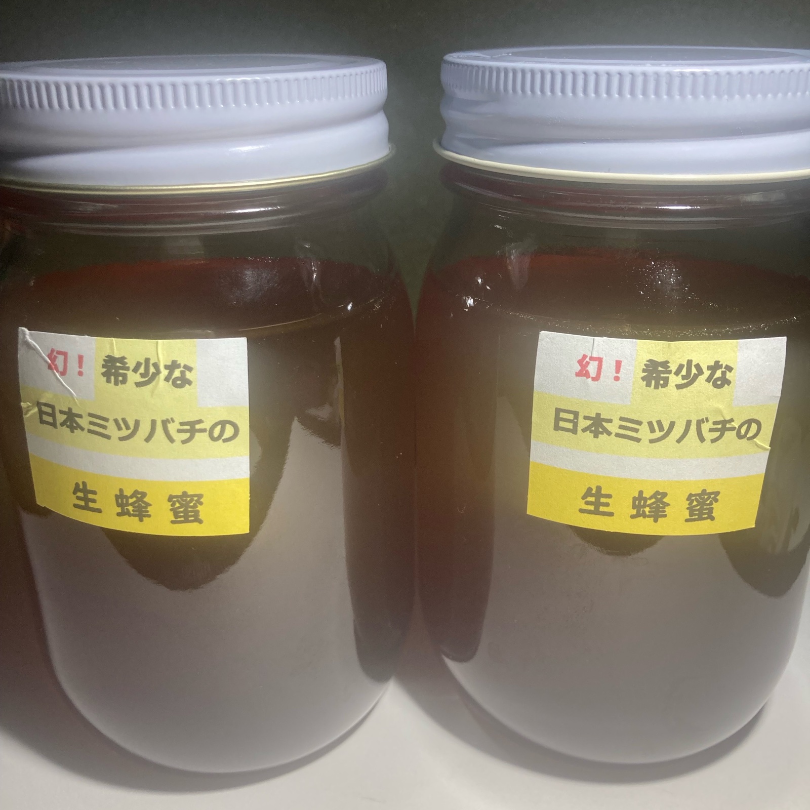 日本蜜蜂 生はちみつ 500g 2個 【天然 無添加 非加熱】 日本ミツバチの生蜂蜜500gX2本 送料無料！ ｜ はちみつ/はちみつ