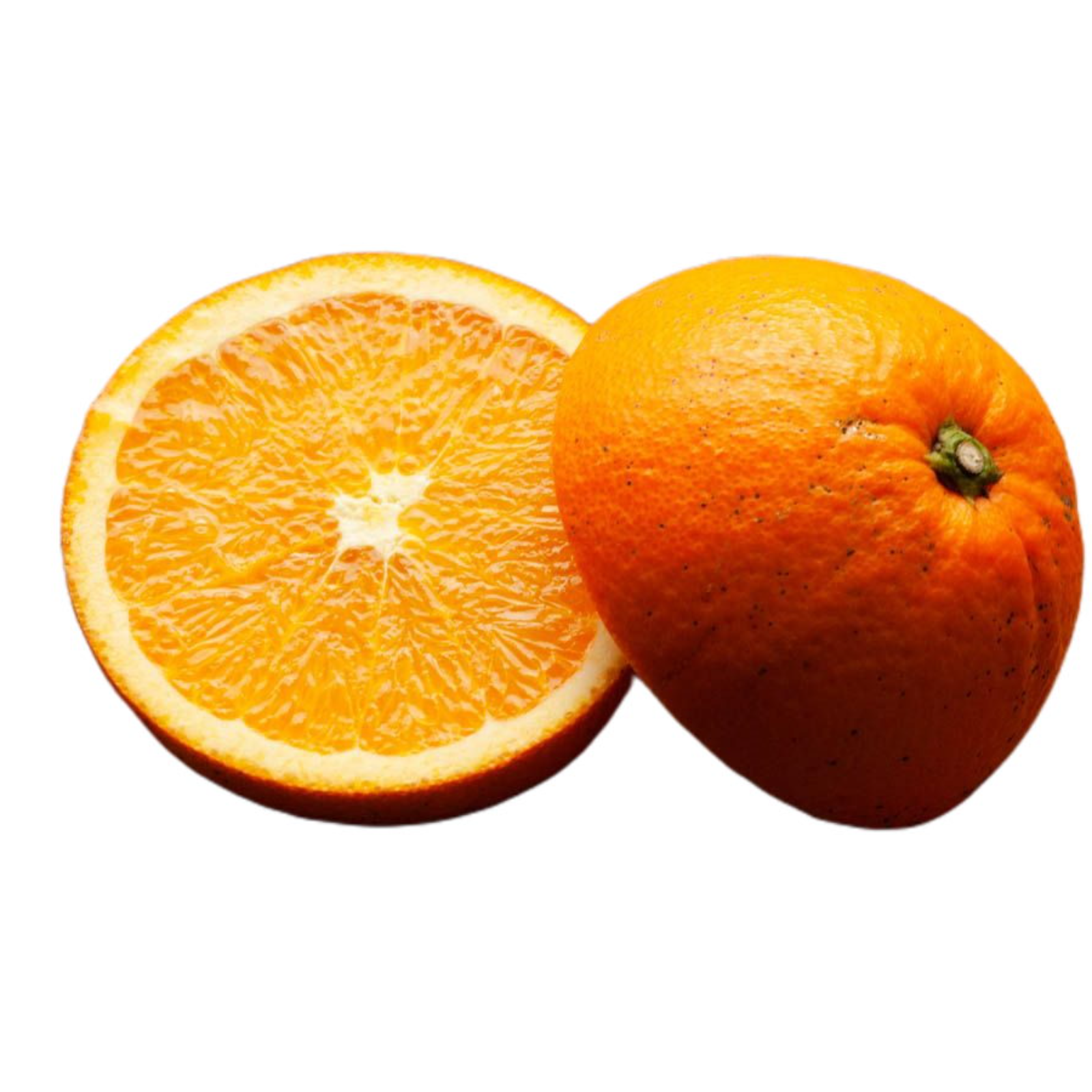 広島県産 ネーブルオレンジ 5kg 国産 | 果物/オレンジ・その他みかん