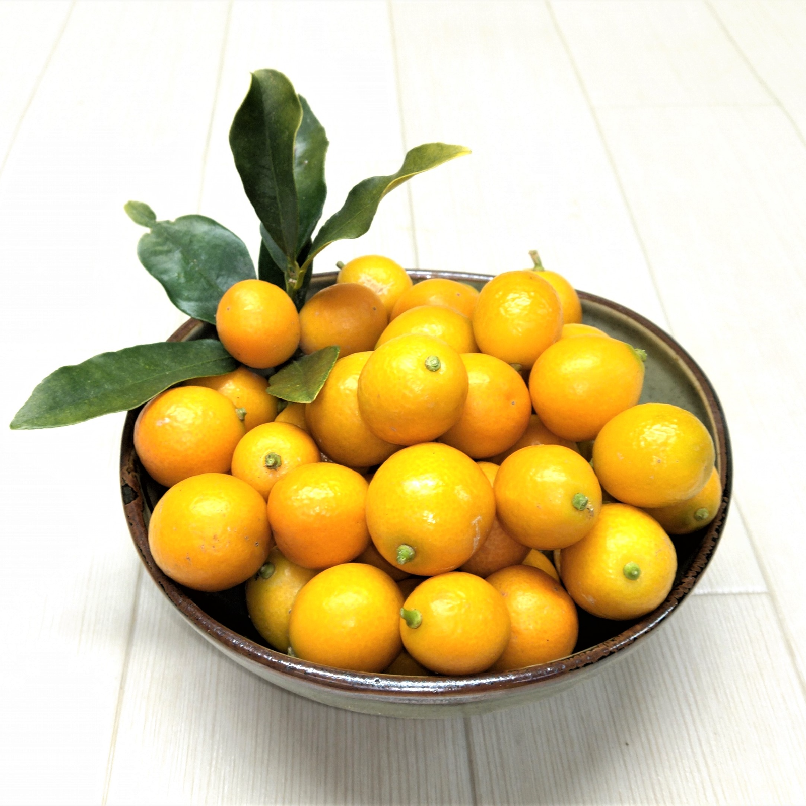 無農薬　きんかん 農縁（無農薬・竜玉きんかん） | 安心堂 食のSELECTネットショップ