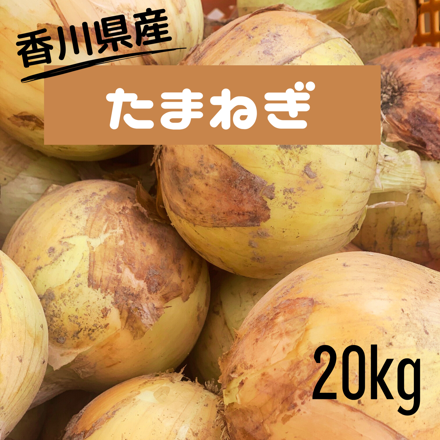 訳あり玉ねぎ20kg 香川県産 ｜ 野菜/玉ねぎ 産直アウル 農家・漁師など