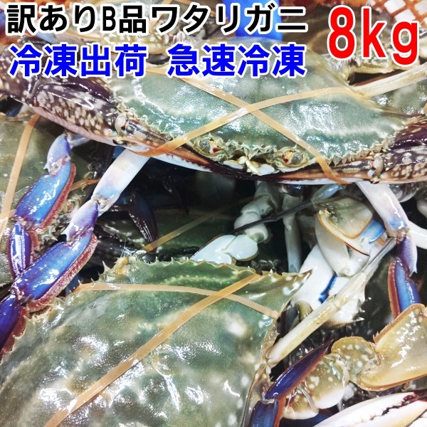 カニ 439 カット生ズワイガニ詰め合わせ 1.0～1.2kg /生冷凍｜北海道網走水産