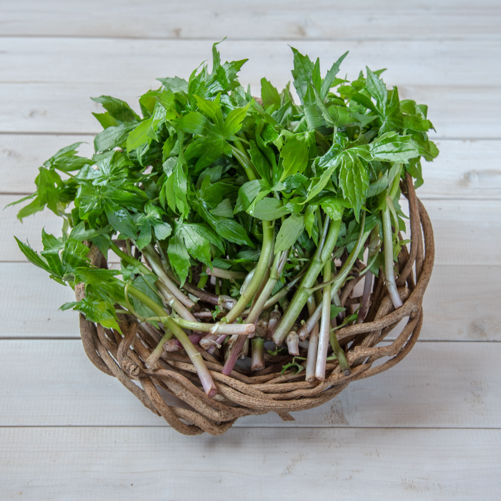 岩手県産山菜　シドケ4キロ 岩手県産山菜　シドケ4キロ