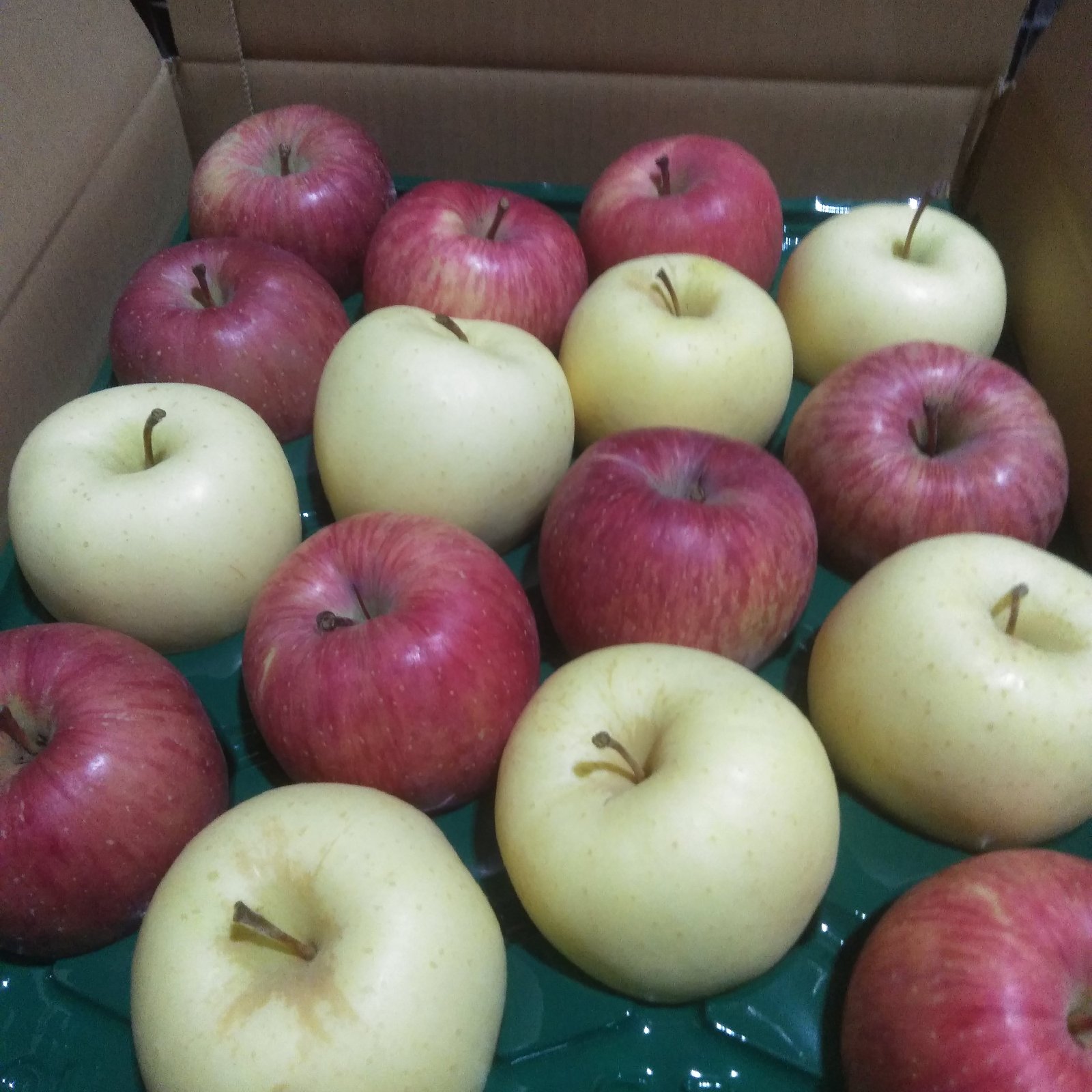 工藤りんご園（青森県・弘前市）｜生産者詳細｜産直アウル