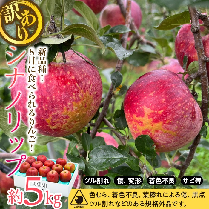 シナノリップ】訳あり約5kg りんご 2026年度予約受付中 新品種 長野県