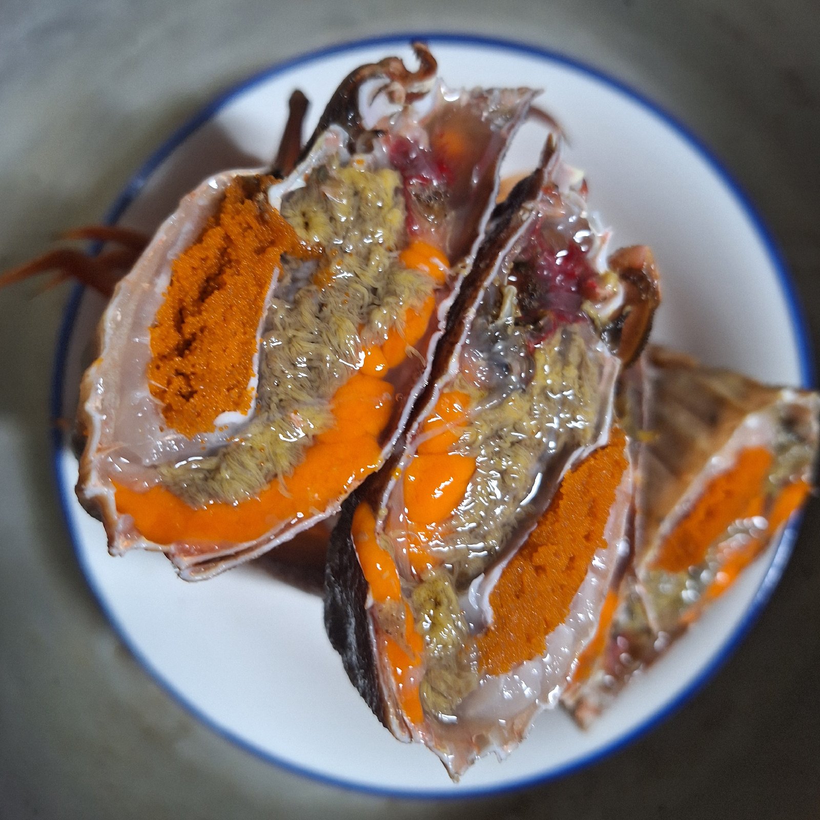 2e10dc7bf1357c2c83c56f951b95f5