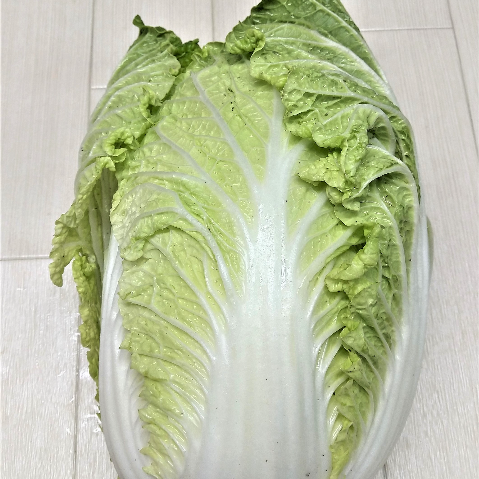 ちょっぴり訳あり白菜 農薬不使用（無農薬）栽培 ｜ 野菜/白菜