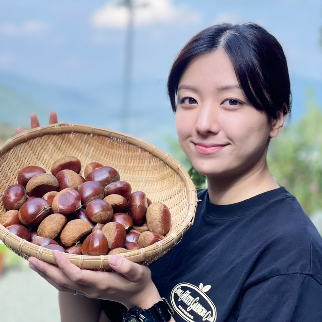 栗 生栗 30キロ　農薬不使用 サイズ(L-3L) 栗 生栗 30キロ 農薬不使用 サイズ(L-3L)