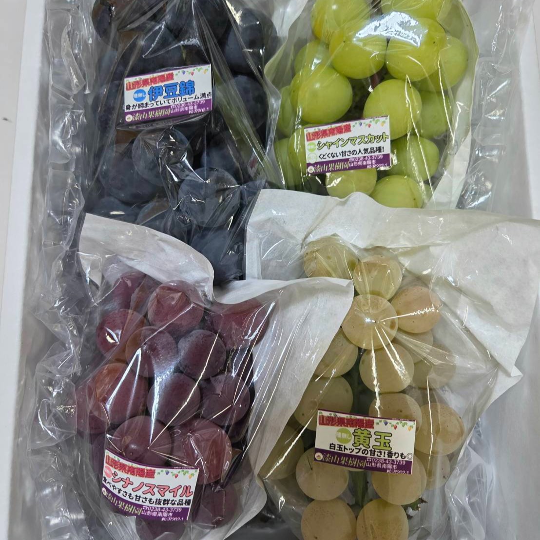 お買得！ご家庭用（訳あり）☆大粒ぶどう食べ比べ！！おまかせ3～5品種