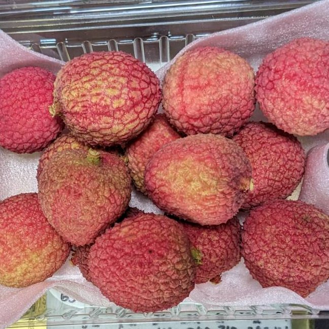 生ライチ 新品種 2パック ｜ 果物/その他果物 産直アウル 農家・漁師