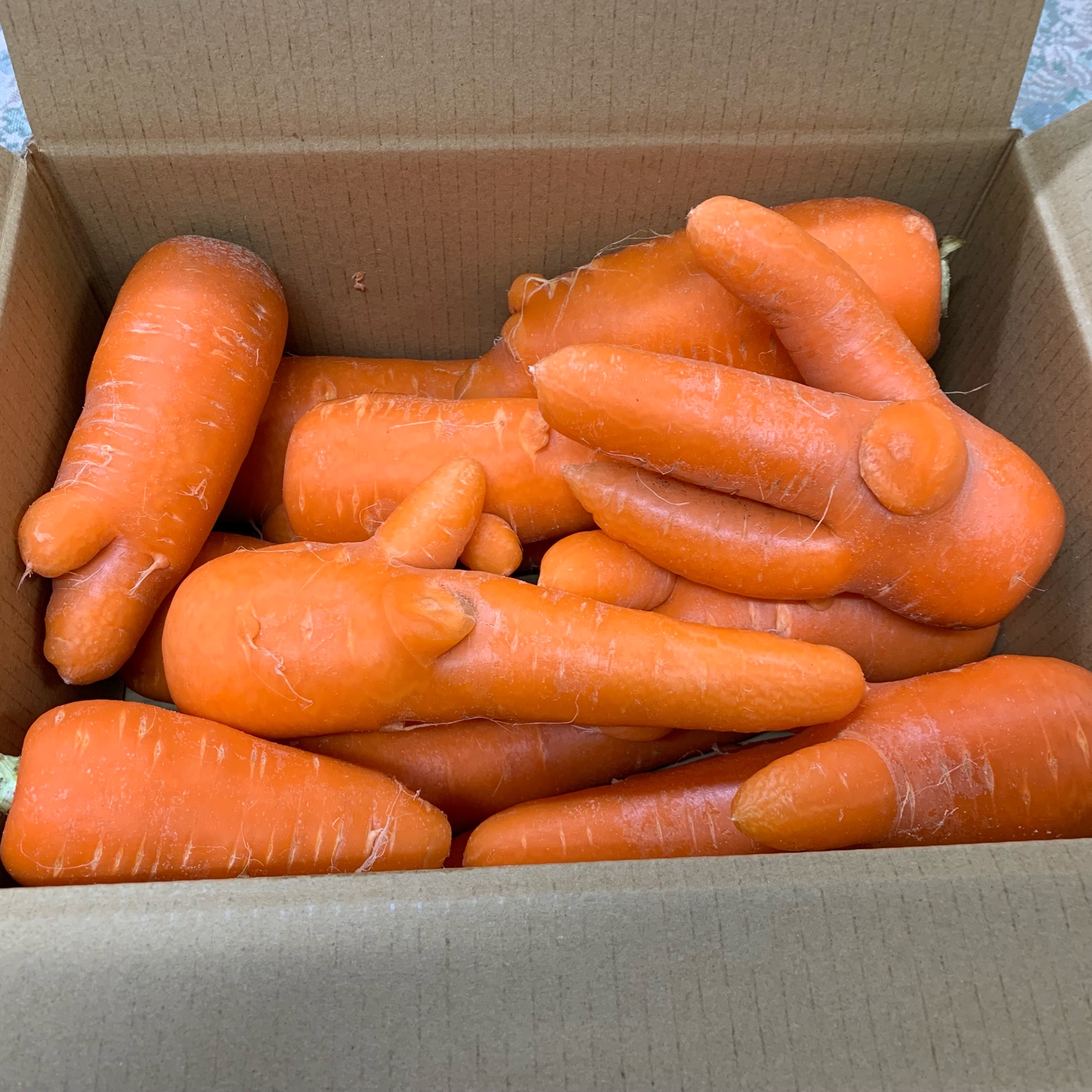 激安！！ハネ人参！！ | 野菜/人参 産直アウル 農家から直接野菜などの 