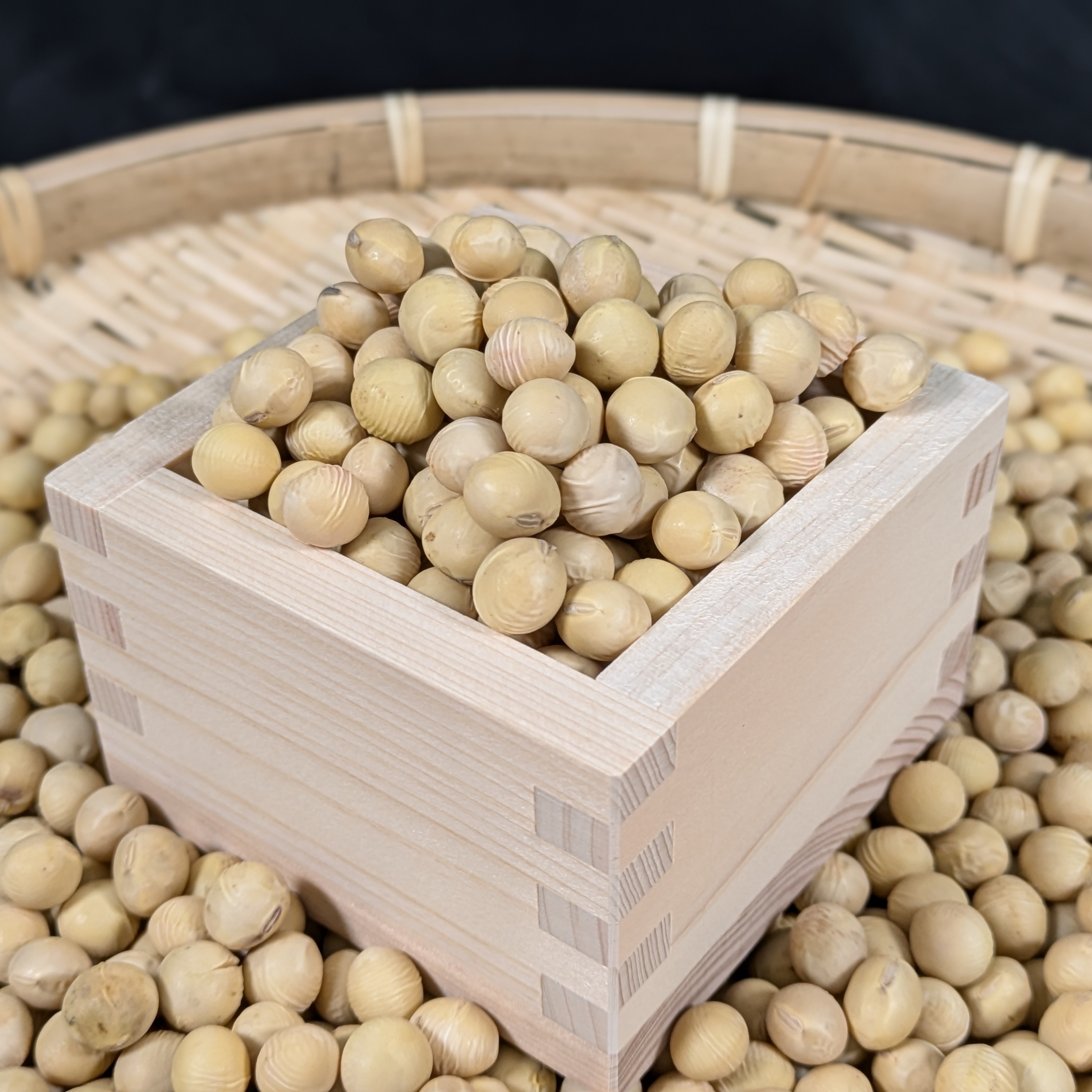 北海道森町産 極大黄大豆 たまふくら 1.8kg 【令和6年度産】 ｜ 野菜