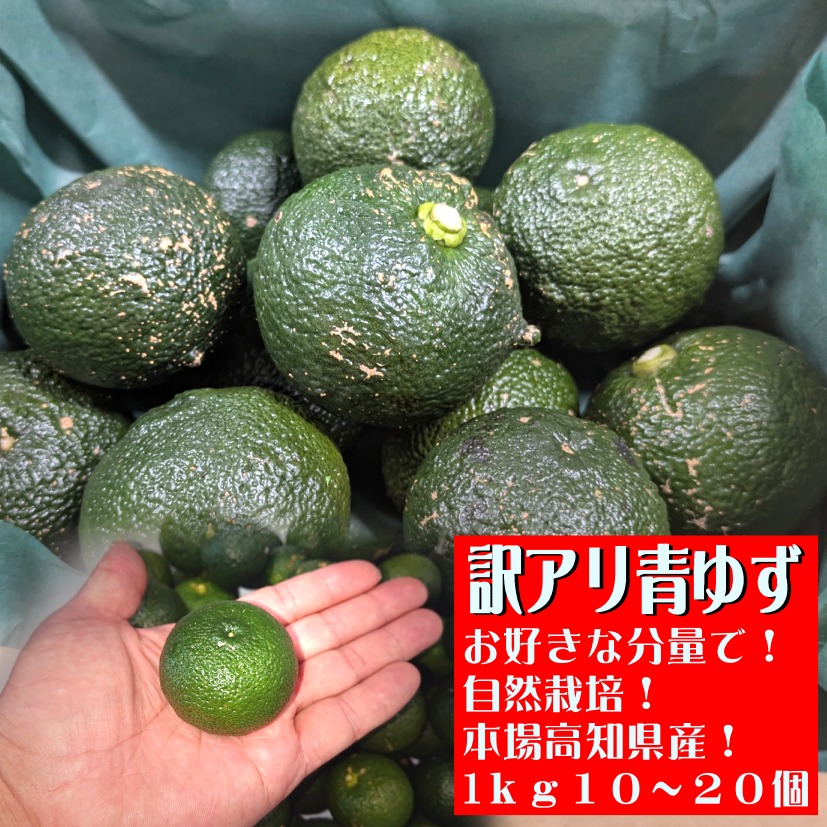 ハウス青柚子 加工用2.5kg 【自社EC】オンラインショップ