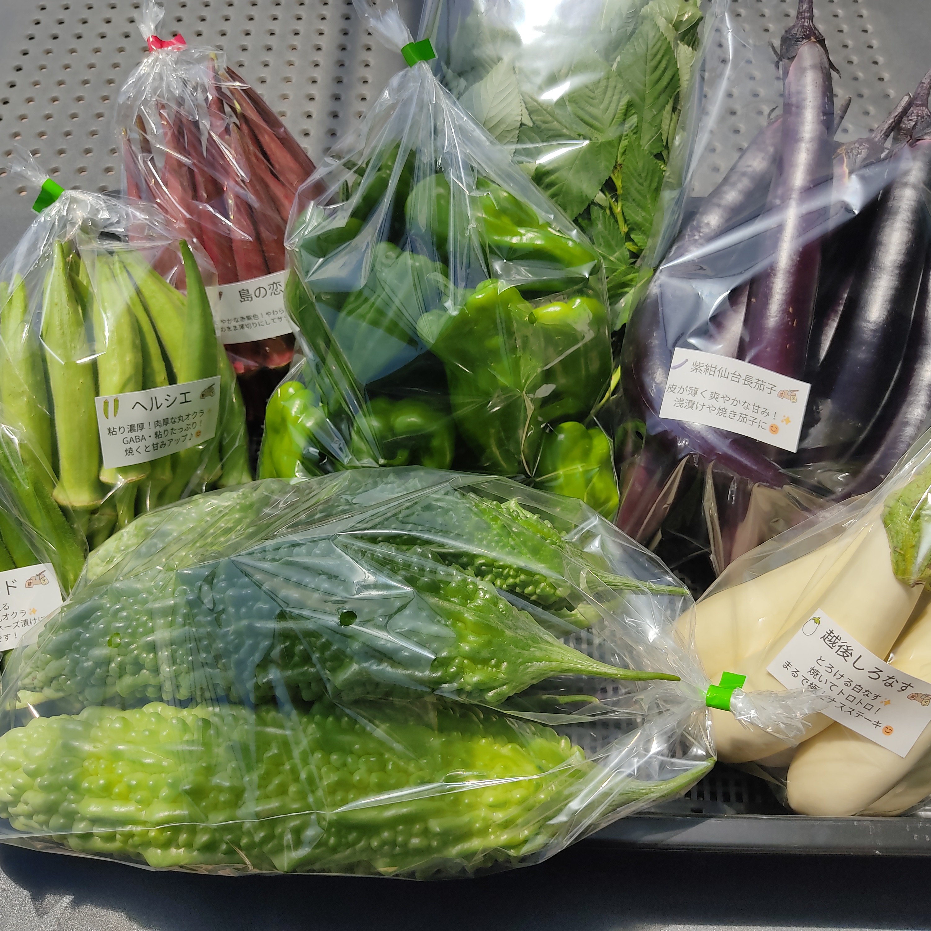大自然の恵み｜朝採れ夏野菜5～7品おまかせセットLサイズ｜夏の旬を