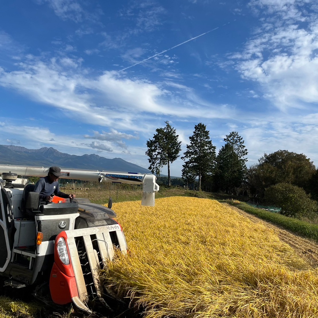 令和7年産 長野県産コシヒカリ「信州茅野 米沢吉田米」玄米3㎏ ｜ 米