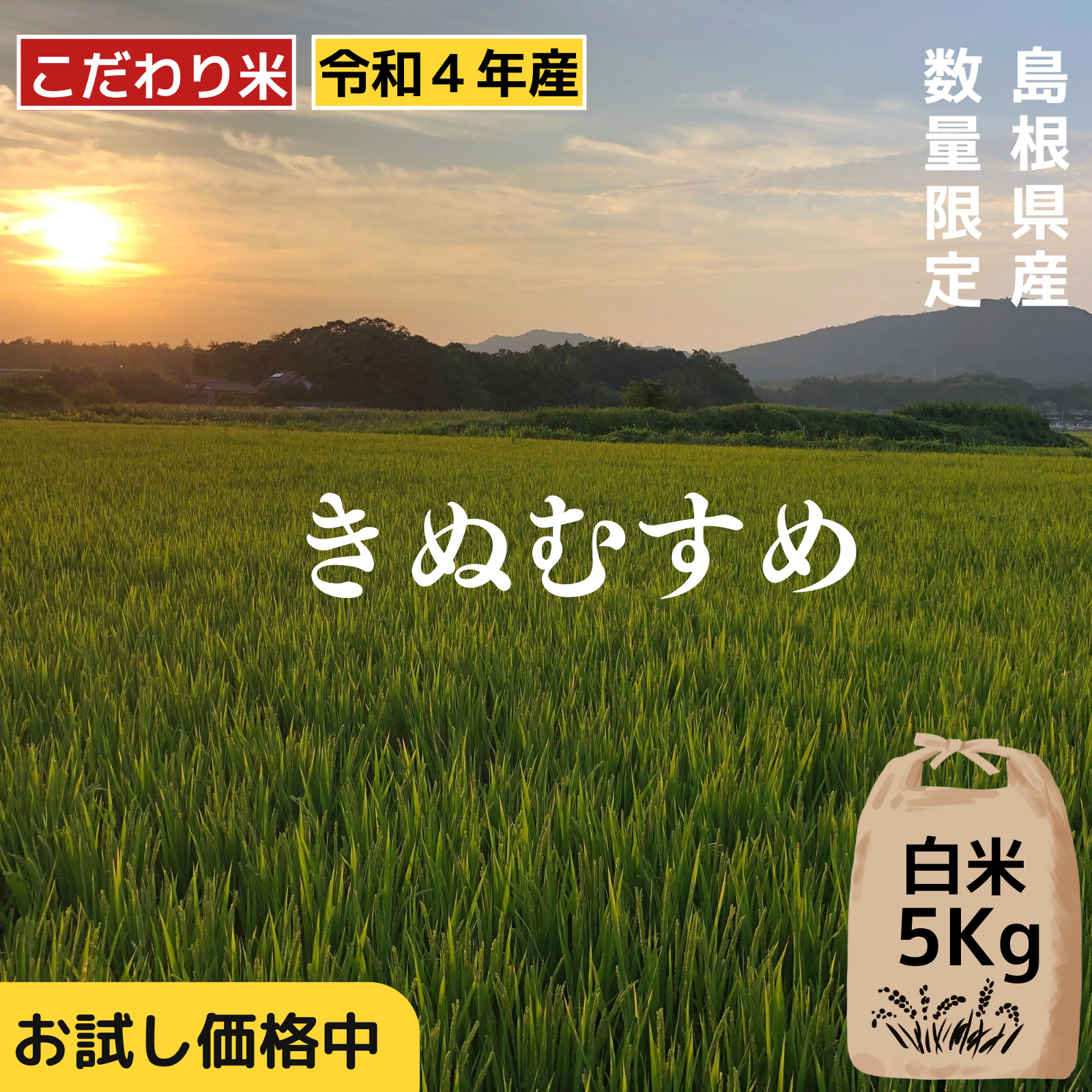 令和4年新米 白米 島根特aのこだわり米 きぬむすめ 栽培期間化学肥料不使用 米 穀物 米 産直アウル 農家から直接野菜などの食材を購入できる産地直送の宅配通販サイト