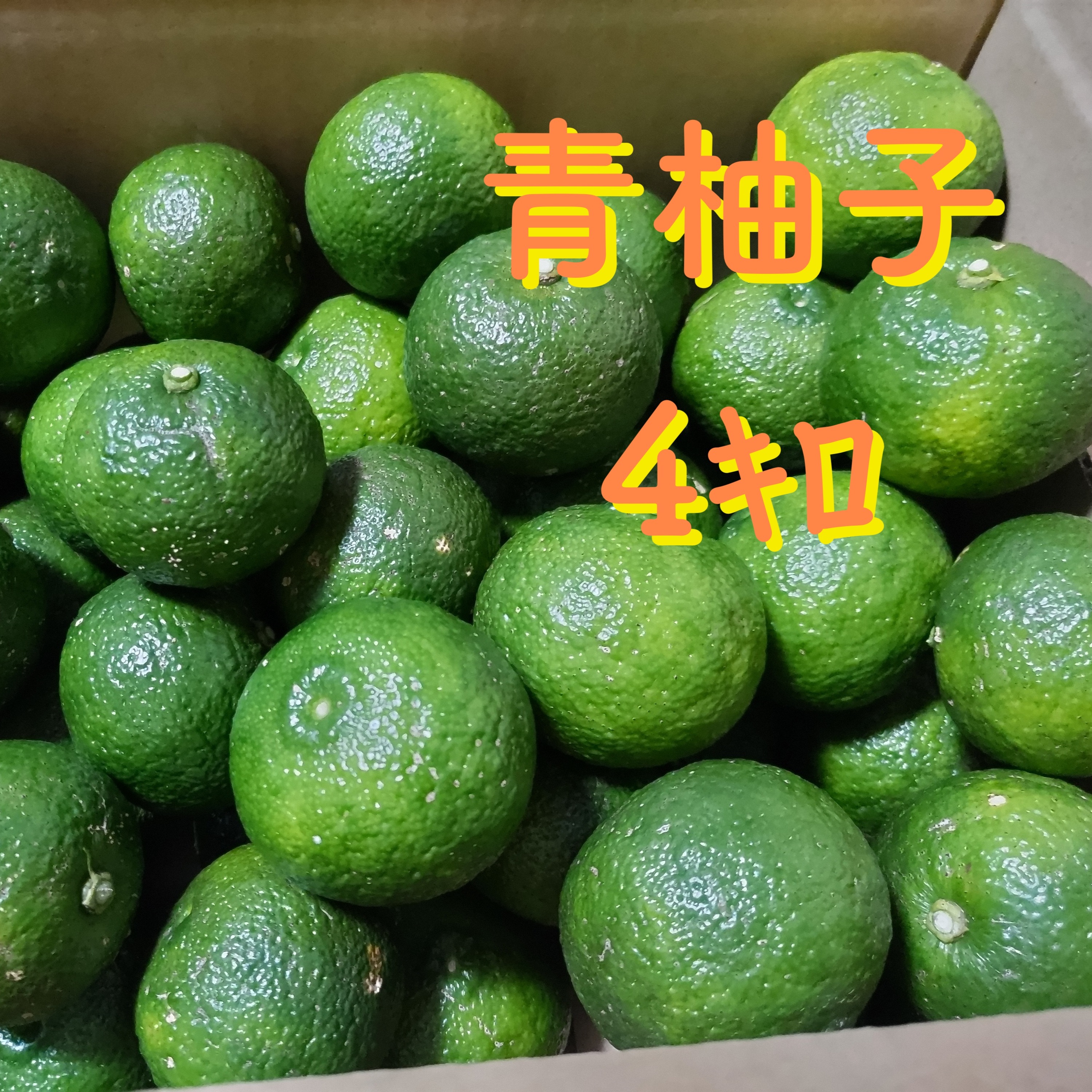 新鮮! 青柚子4キロ | 果物/香酸柑橘(ライム・レモン等) 産直アウル