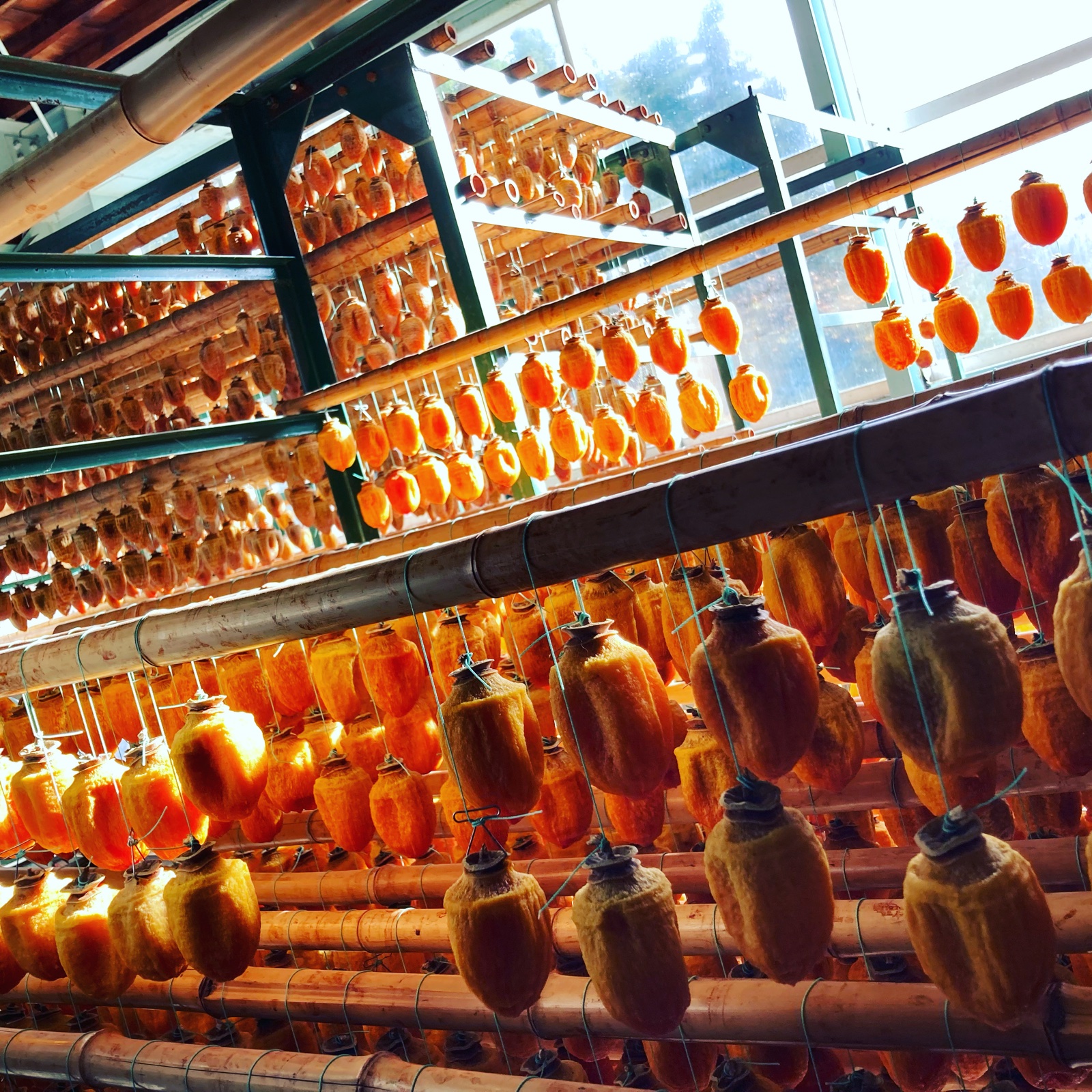 3Lサイズ8個 富山県産三社柿の大玉干し柿訳ありでお買い得 | 加工品