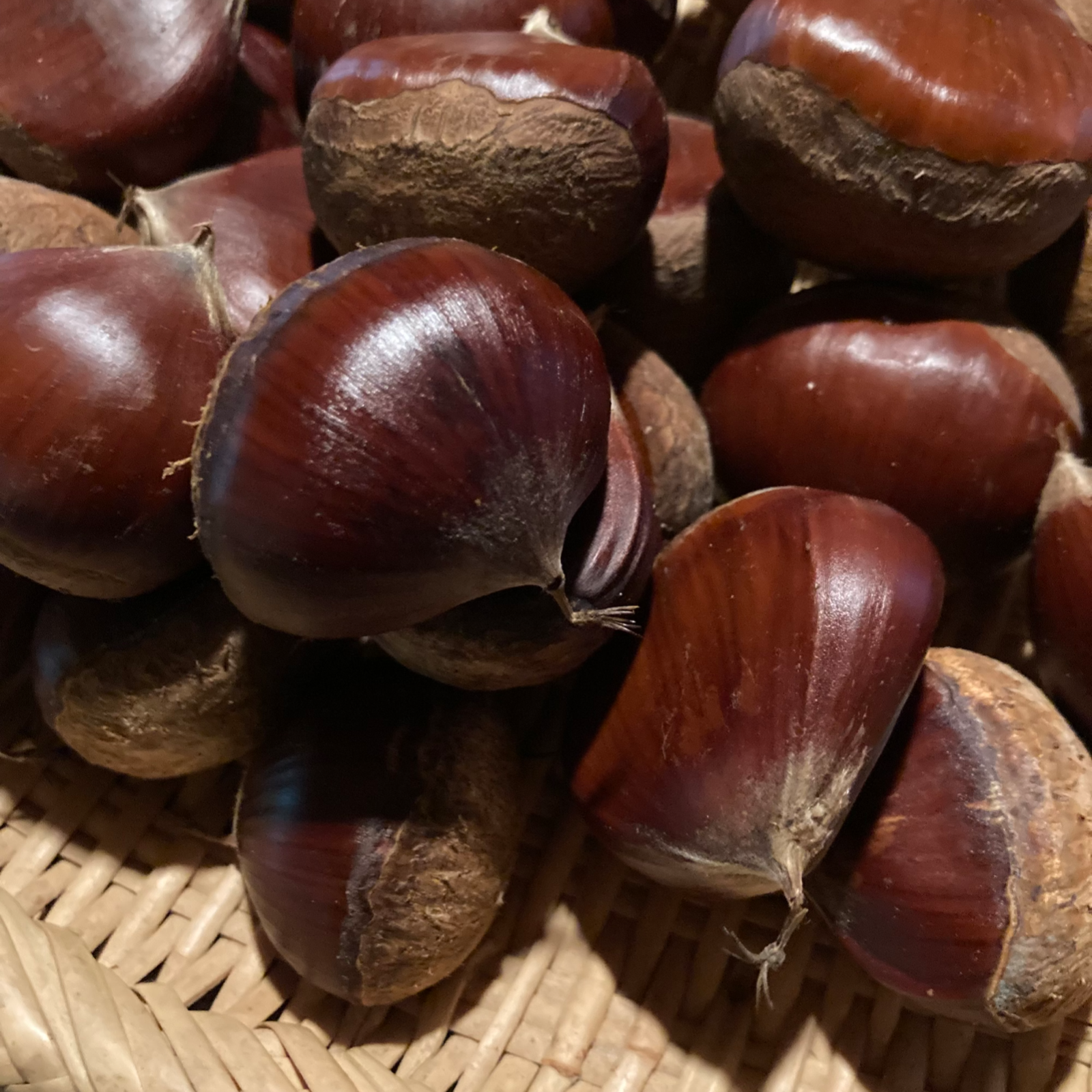 むき栗 250g 2パック 京都 無農薬栽培 | 果物/栗 産直アウル 農家から