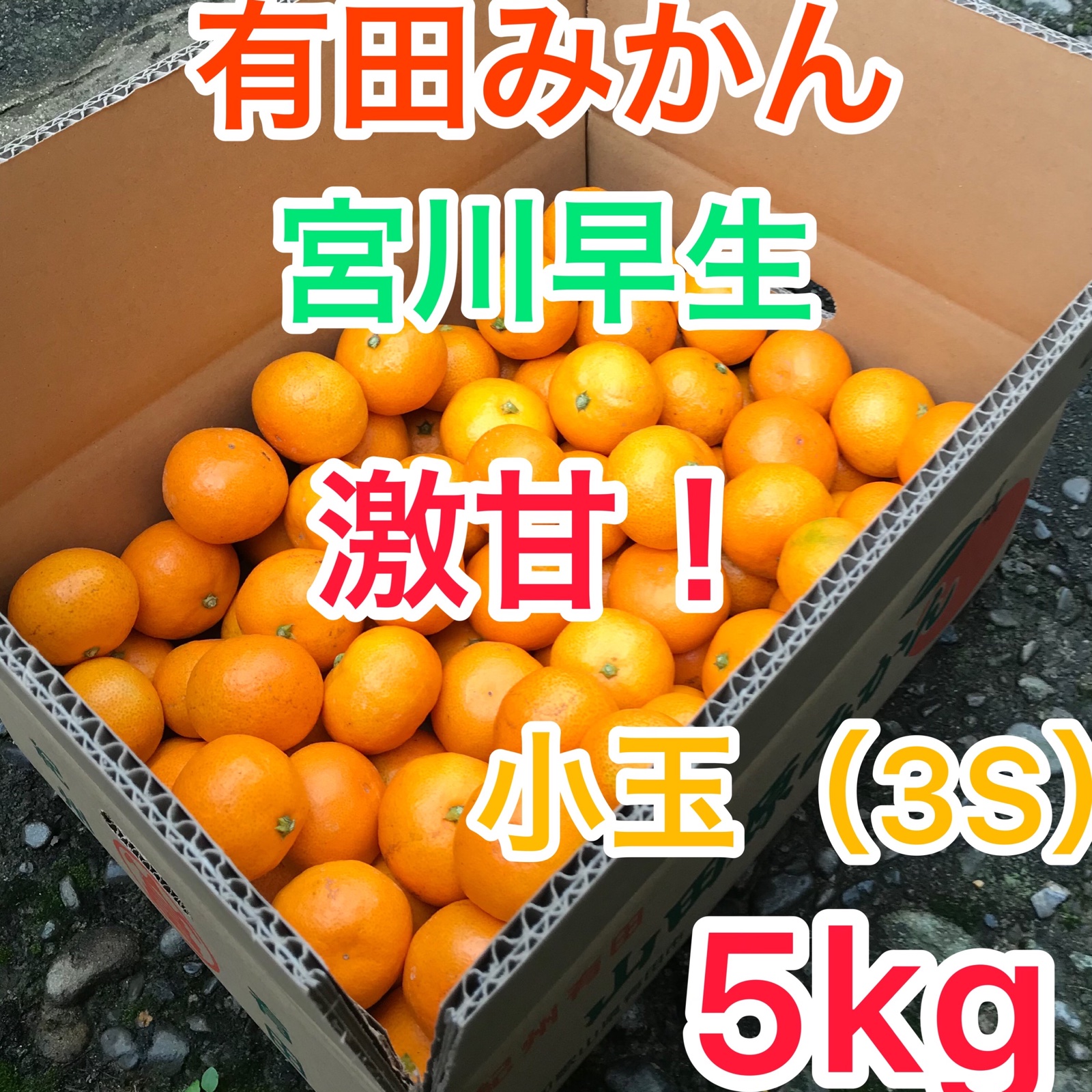 激甘！宮川早生 小玉（3S） 5kg ｜ 果物/温州みかん 産直アウル 農家