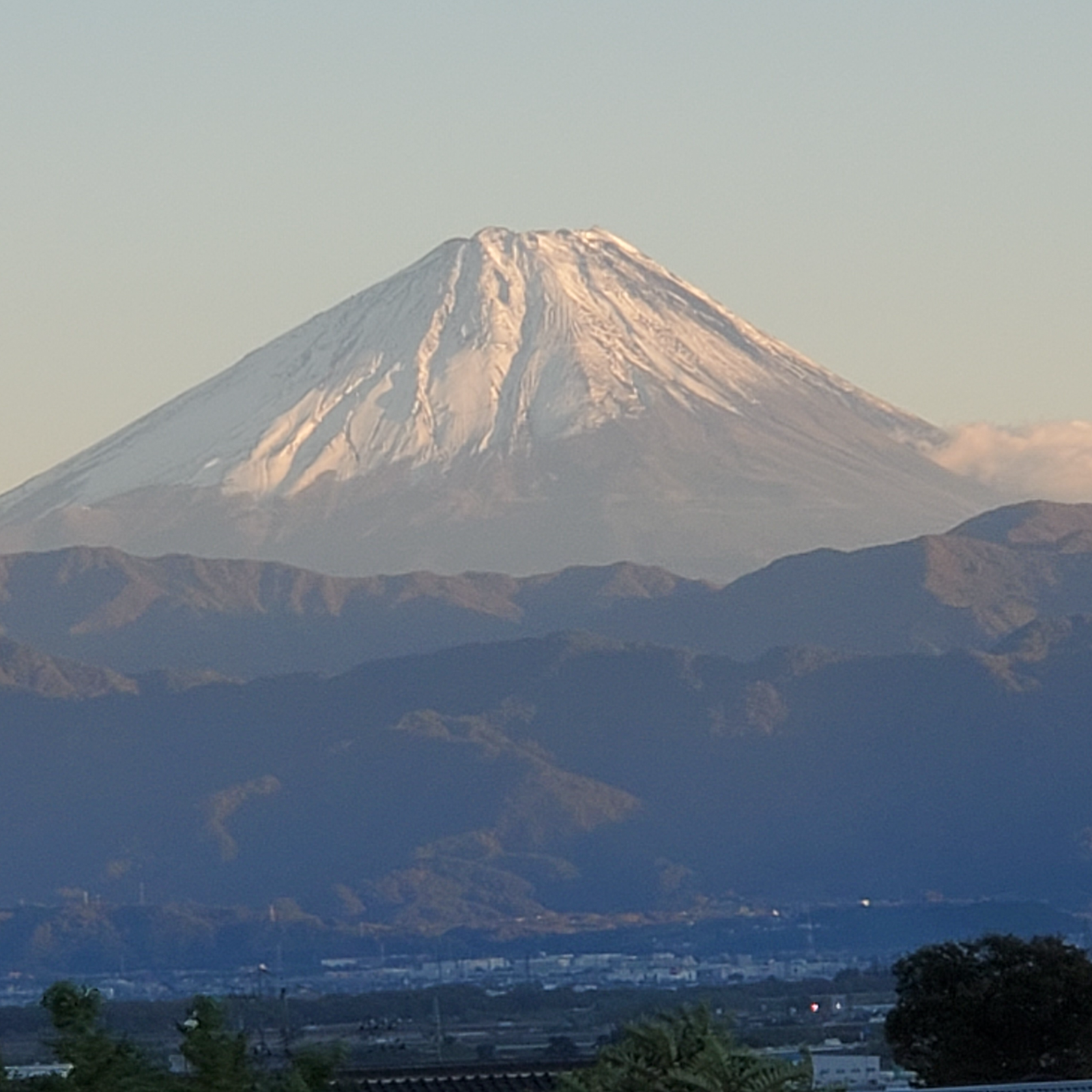 幻のお米】農林48号！通称「武川米」5㎏ ｜ 米・穀物/米/精米 産直