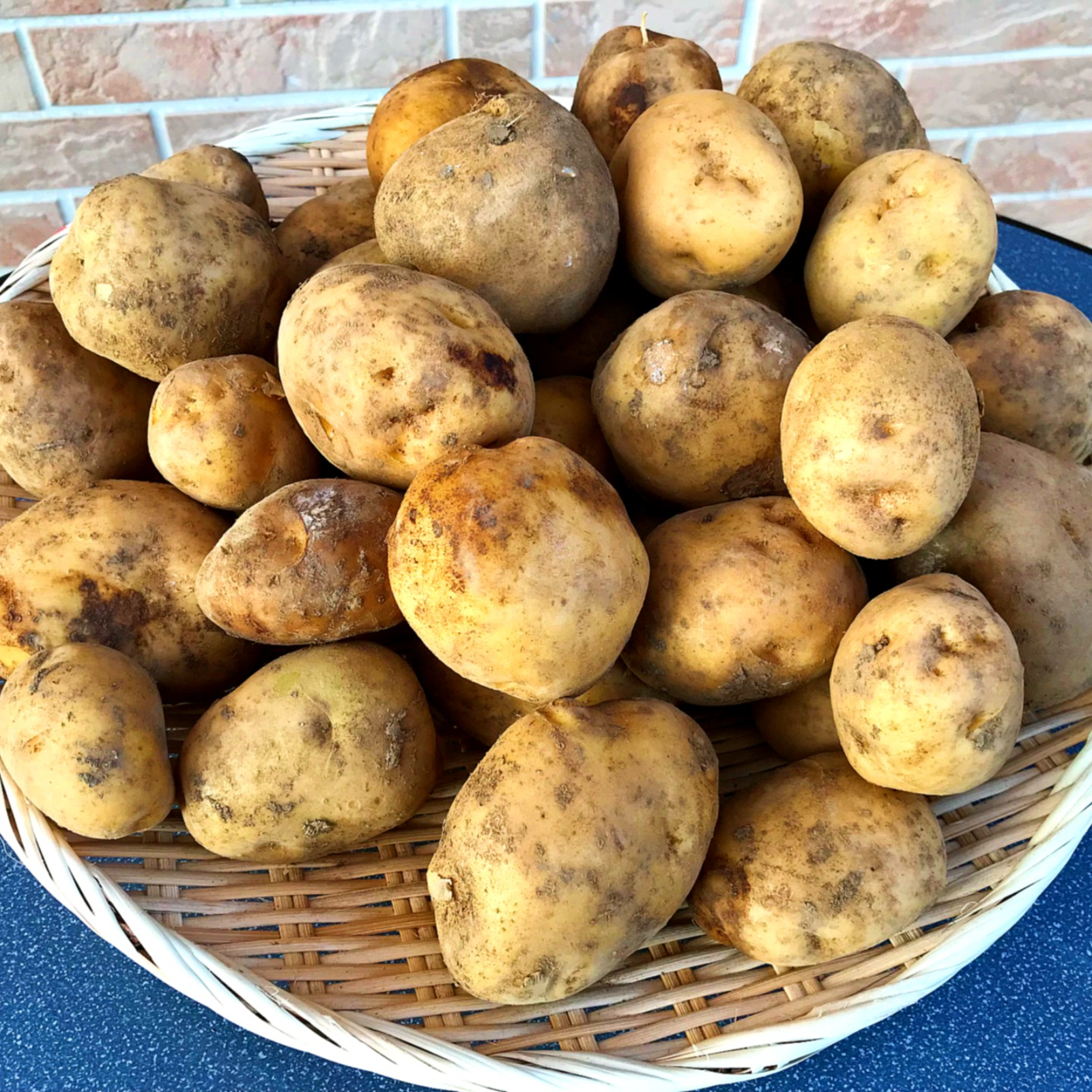 22年収穫の新じゃがいも 男爵いも 10ｋｇ ほっくり甘いジャガイモ カレー シチューなどの煮物に 野菜 じゃがいも 産直アウル 農家から直接野菜などの食材を購入できる産地直送の宅配通販サイト