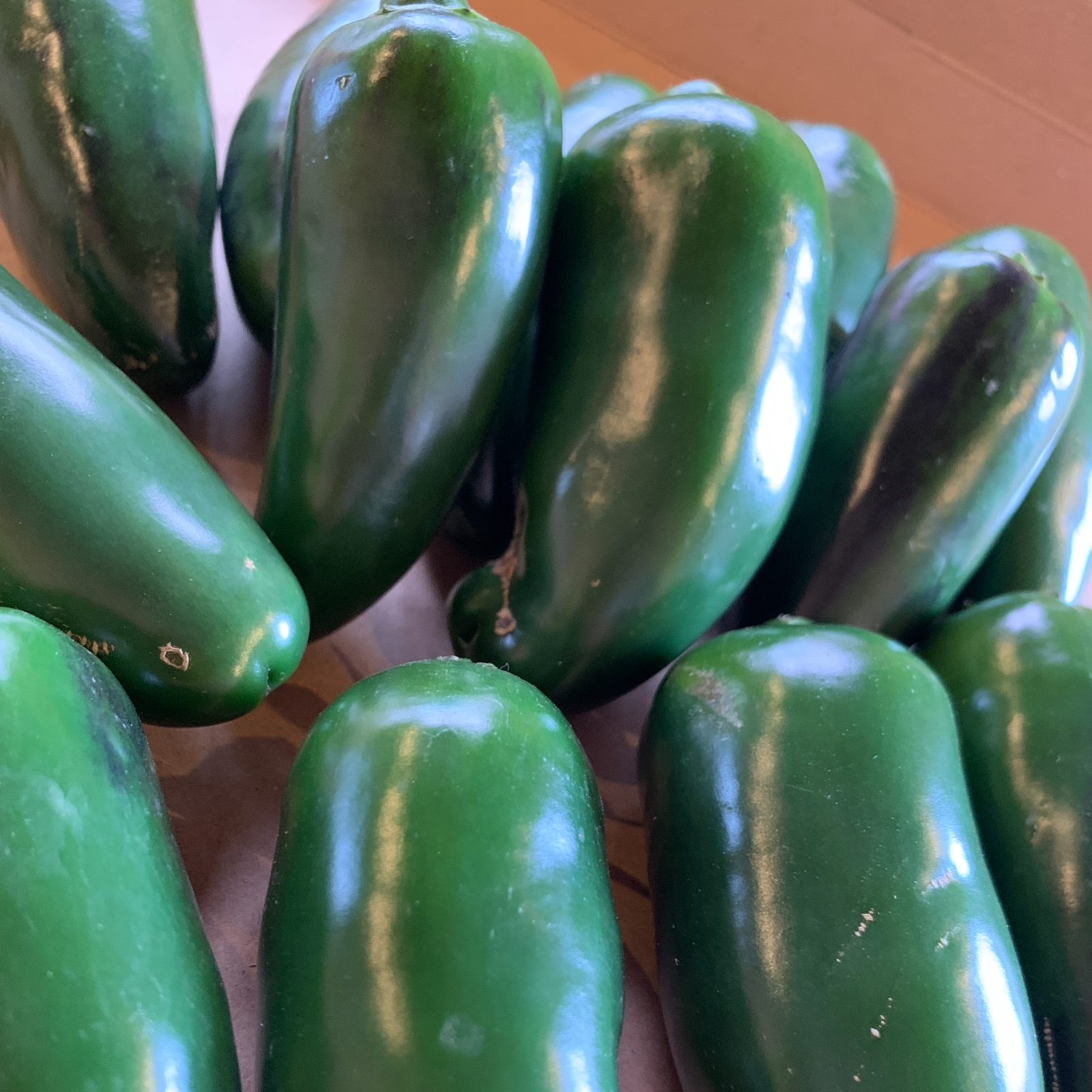 かじゃ　ハラペーニョ8kg