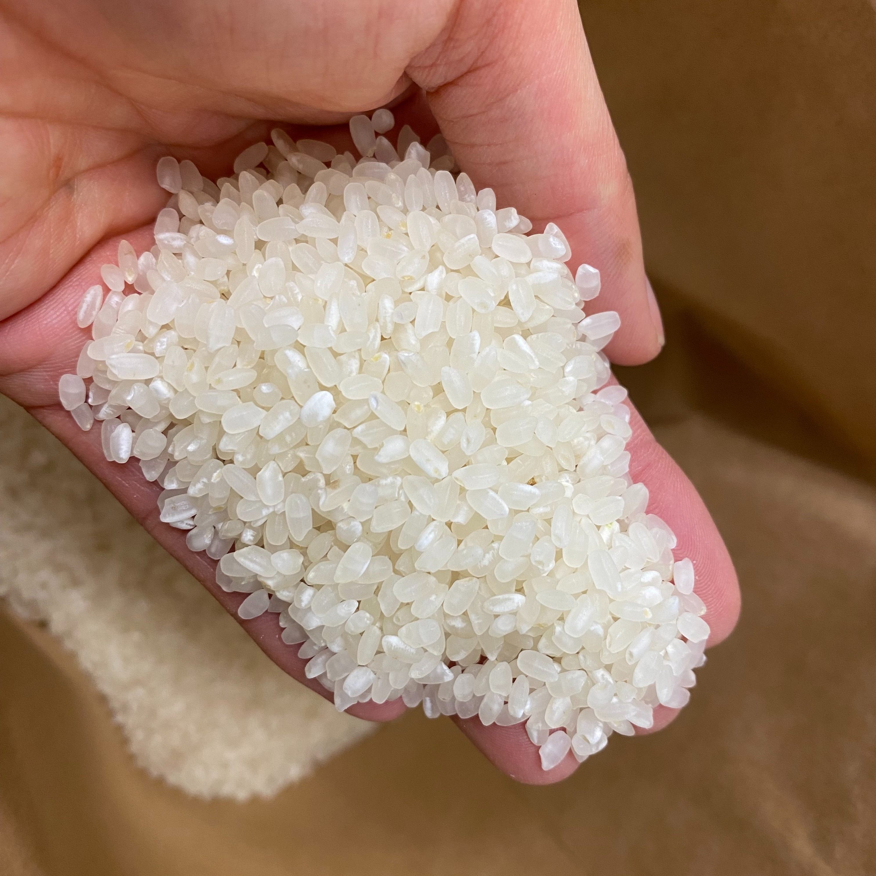 2025年愛媛県産奥伊予の「山麓米」(虹のきらめき)15kg202510.9精米