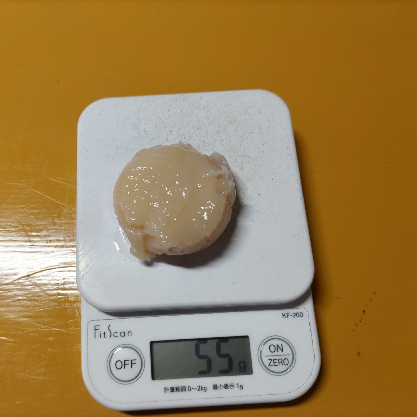 北海道の方限定！漁師直送！野付産超 特大活ホタテ ｜ 魚介類/ホタテ