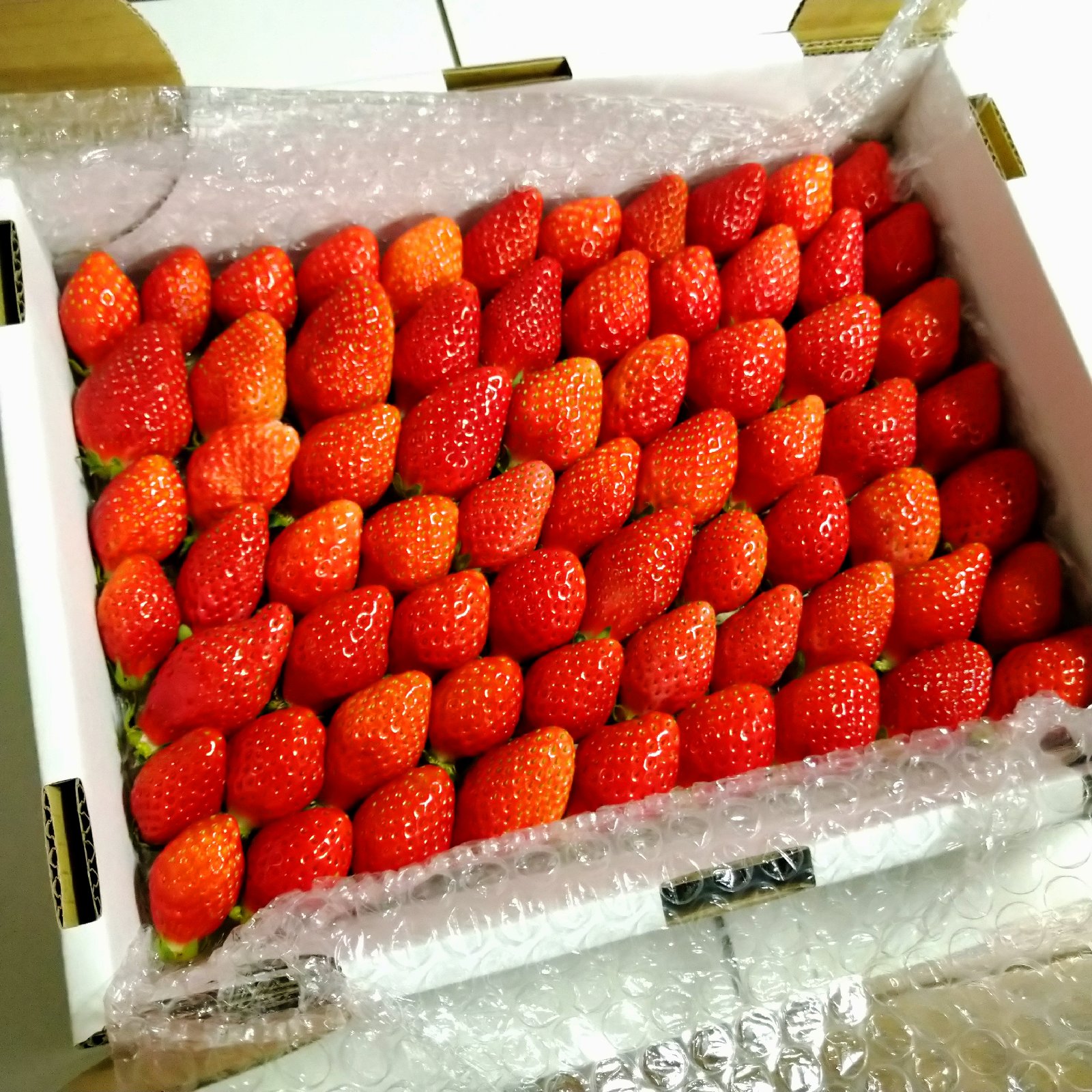 30033a47a56cbf1e4268c4e8552bde