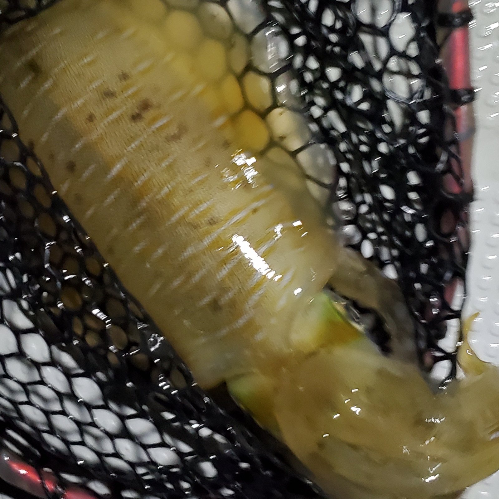 マルシゲ水産（長崎県・長崎市）｜生産者詳細｜産直アウル