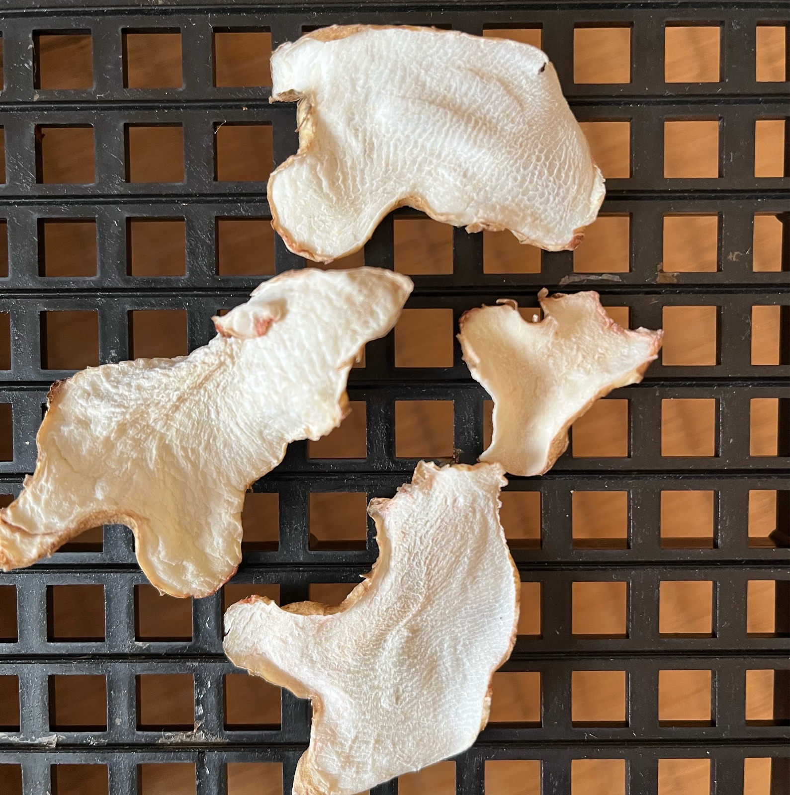 ☘️フランス菊芋ショップ ウッチャン☘️様専用 食品乾燥機 TM-4355