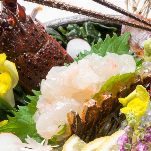 千葉県産 活メ冷凍伊勢海老 大1キロ（2-3匹） ｜ 魚介類/エビ 産直