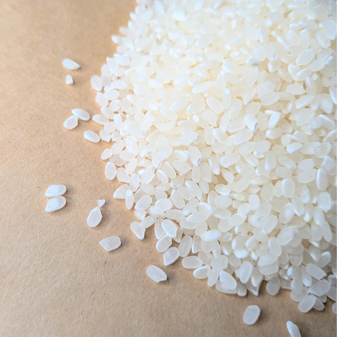 京都府産 お米 コシヒカリ 【精米済 3kg】 ｜ 米・穀物/米/精米 産直