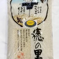 令和7年産 新米 石川県産 つきあかり 白米 10kg | 米・穀物/米